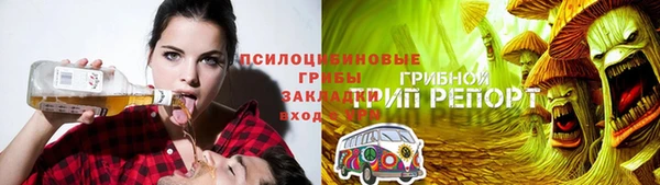 эйфоретик Елизово