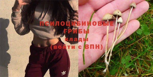 тгк Алагир