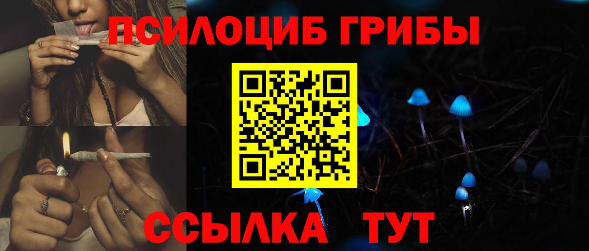 Псилоцибиновые грибы мухоморы  Галлюциногенные грибы Cubensis  Железноводск 